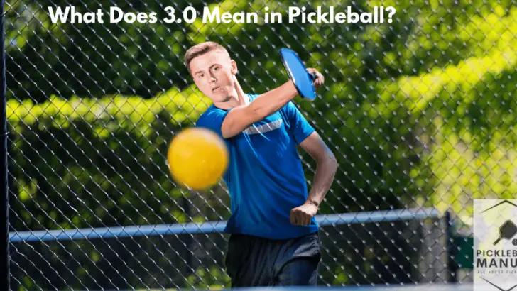 What Does 3.0 Mean in Pickleball? All You Need to Know