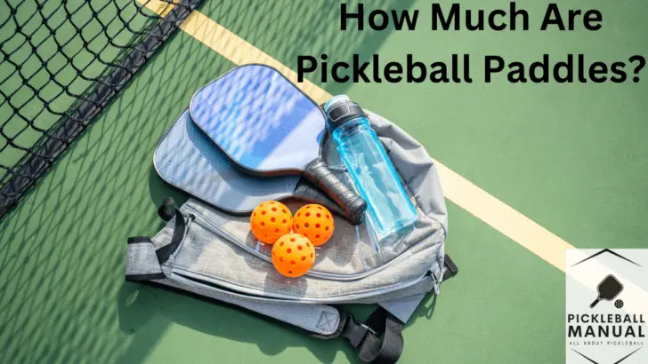 How Much Are Pickleball Paddles? All You Need to Know
