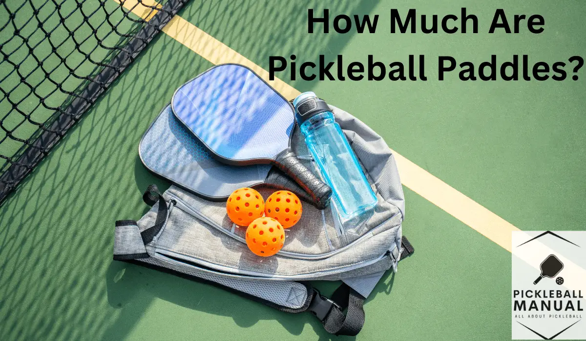 How Much Are Pickleball Paddles